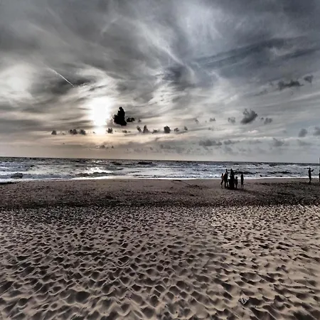 In Near Dunes