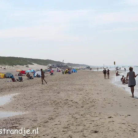 In Near Dunes Callantsoog